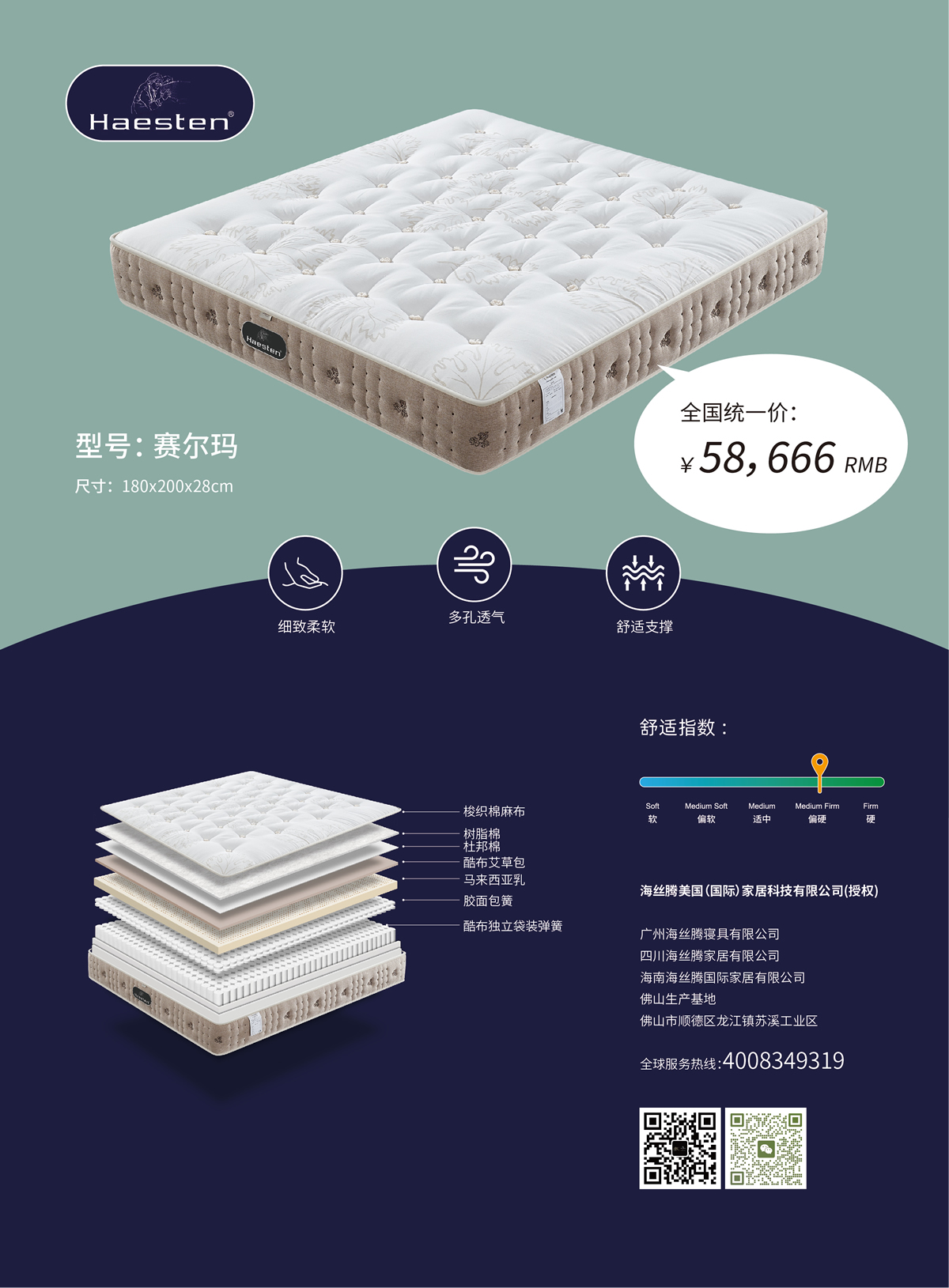 赛尔玛.jpg